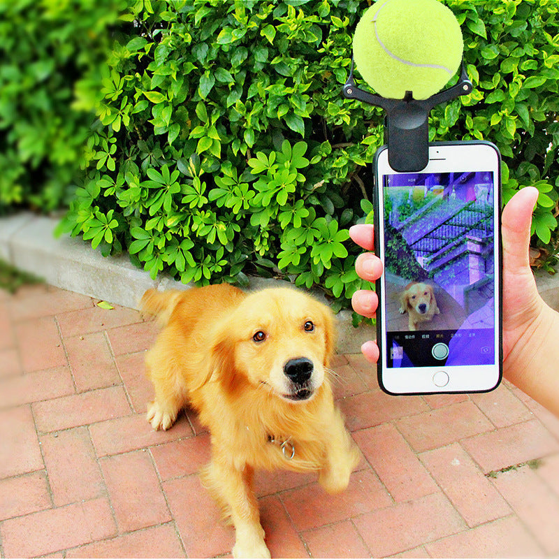Pet photo props toy