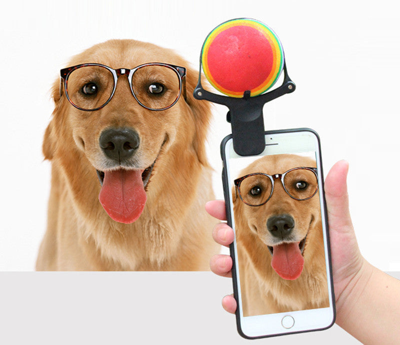 Pet photo props toy