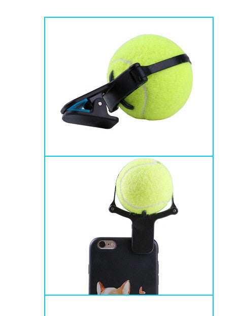 Pet photo props toy