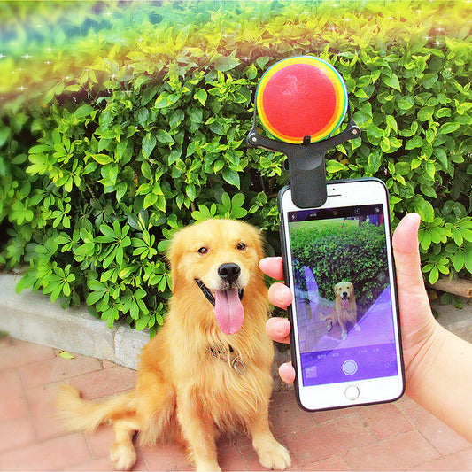 Pet photo props toy
