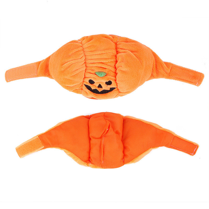 Pumpkin Hat Halloween Costume for Dogs & Cats