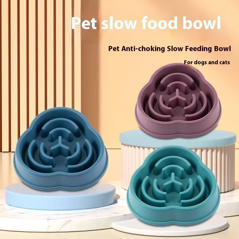 Pet Slow Feeding Bowl