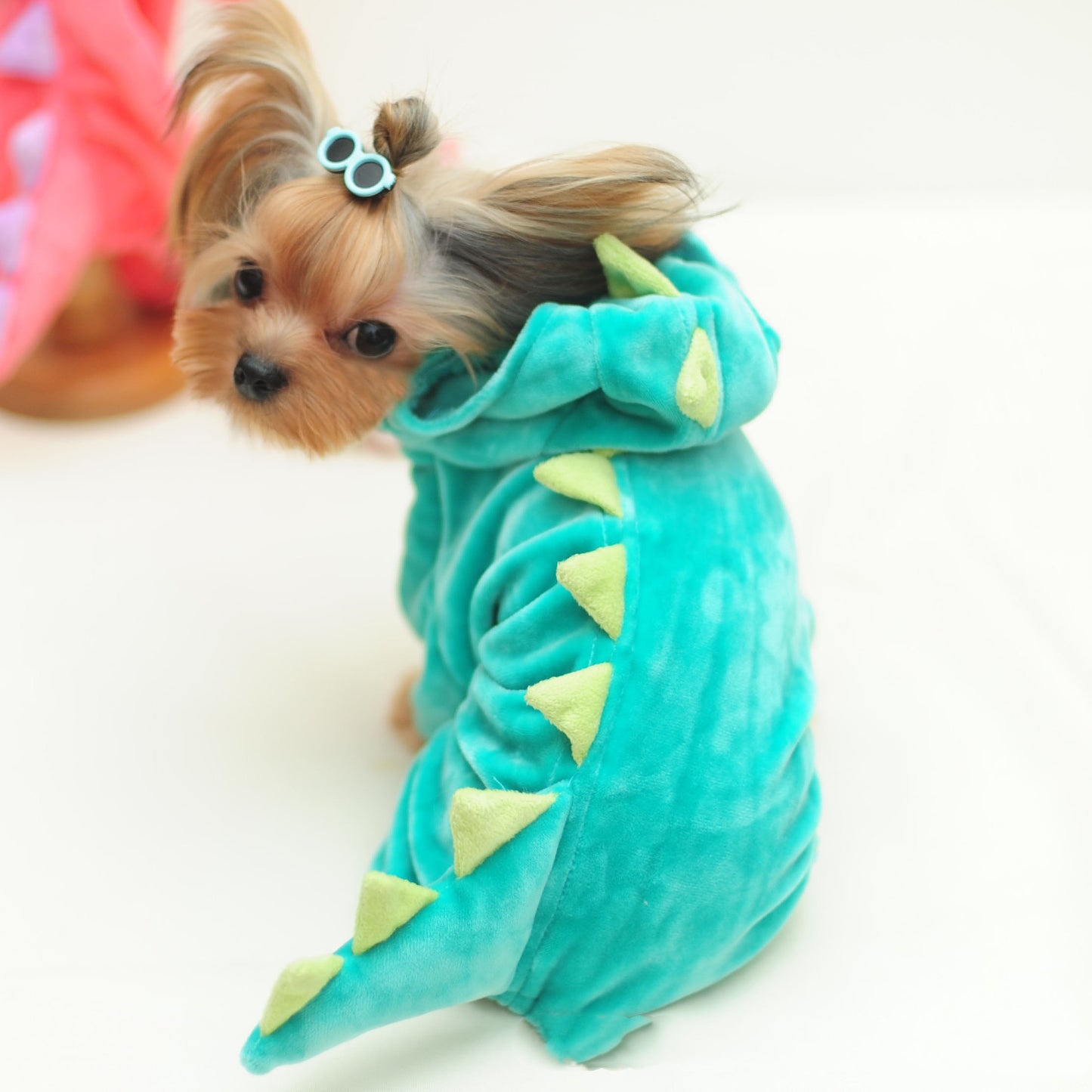 Funny Dinosaur Transformation Costume for Dogs & Cats