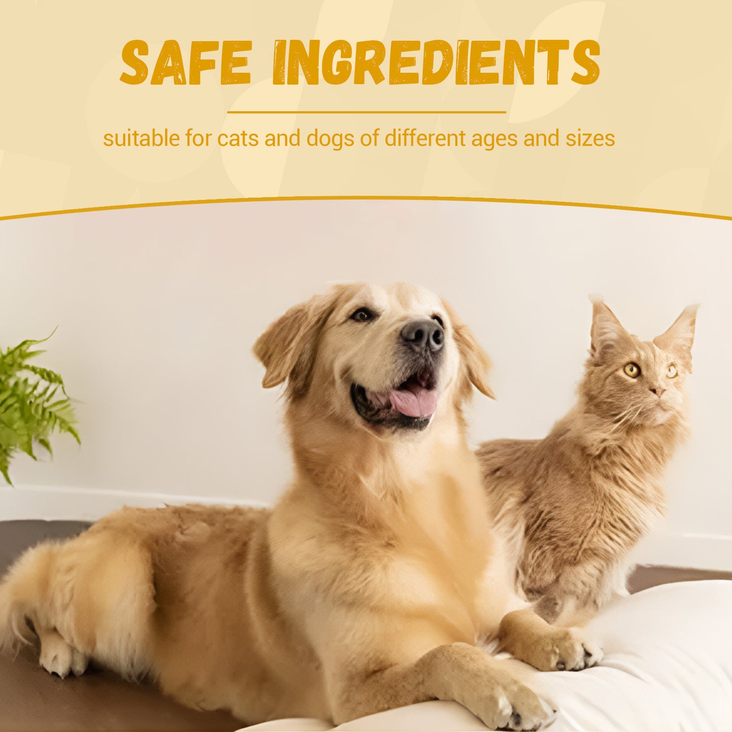 Pet Energy & Vitality Supplement (60ml)