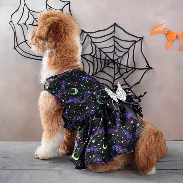 Angel Wing Pumpkin Print Halloween Costume for Dogs & Cats