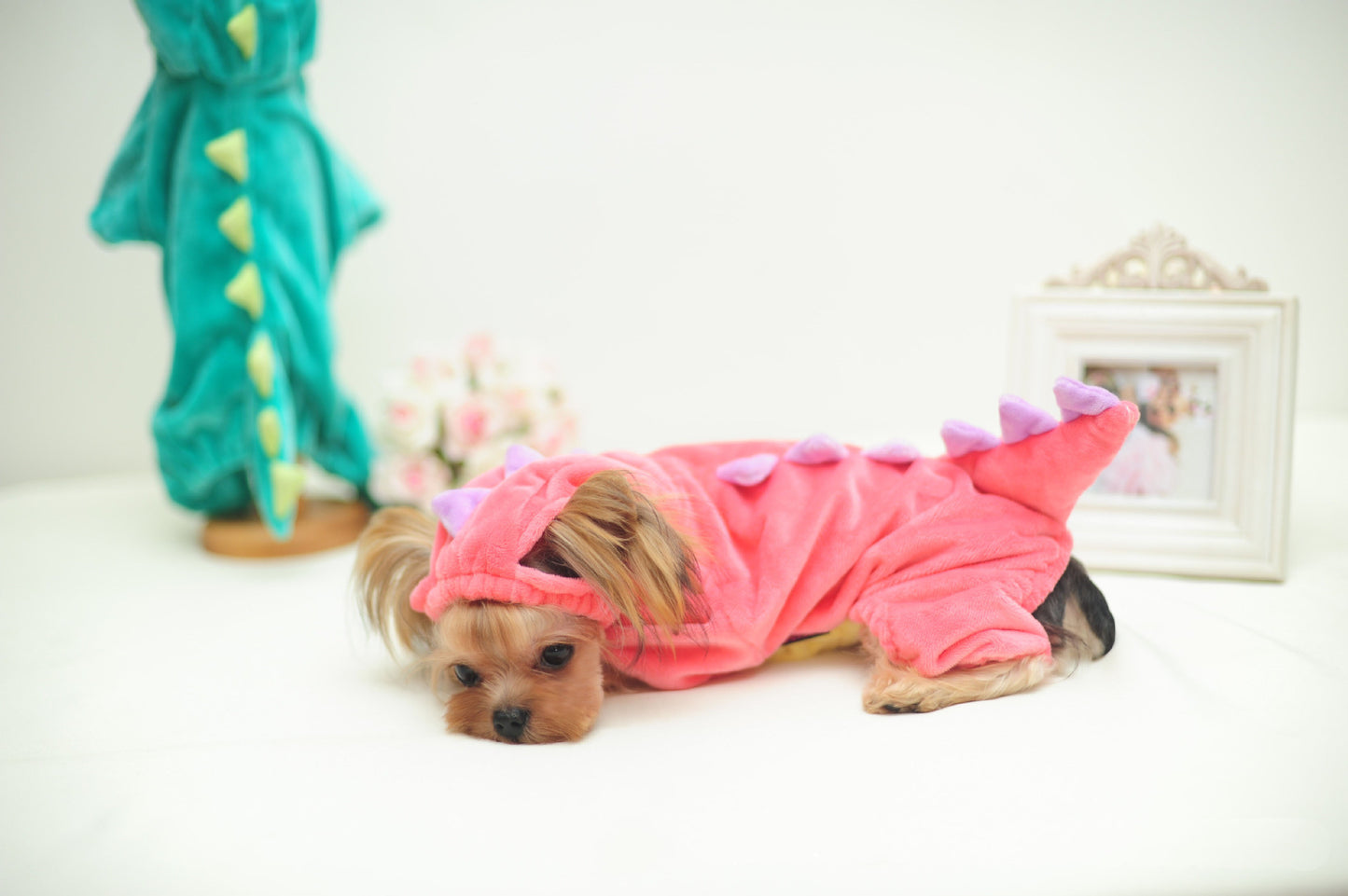 Funny Dinosaur Transformation Costume for Dogs & Cats