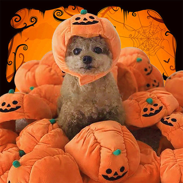 Pumpkin Hat Halloween Costume for Dogs & Cats