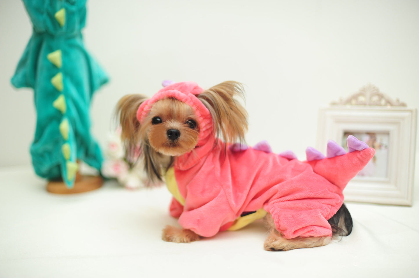 Funny Dinosaur Transformation Costume for Dogs & Cats