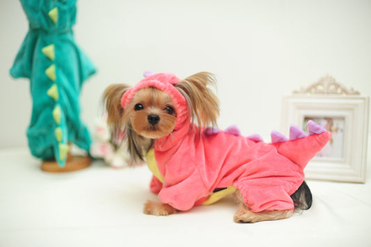 Funny Dinosaur Transformation Costume for Dogs & Cats