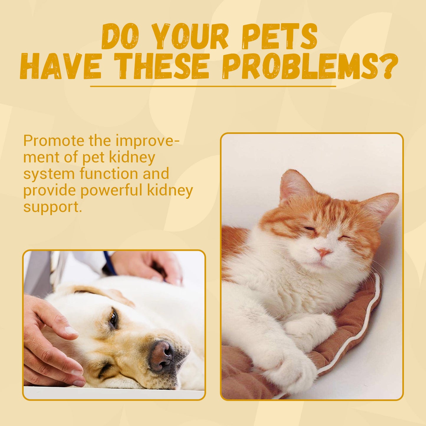 Pet Energy & Vitality Supplement (60ml)