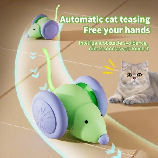 Interactive Cat Toy – Electric Mouse Car with Obstacle Avoidance